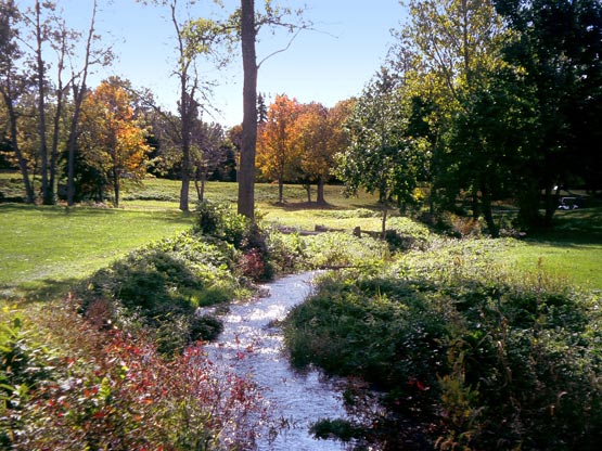 A small, sunlit stream winds through a green park with grassy banks, trees showing early autumn colors, and clear blue sky overhead.