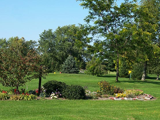 A landscaped garden with colorful flowers and shrubs is set in a green park with large trees and a clear blue sky in the background.